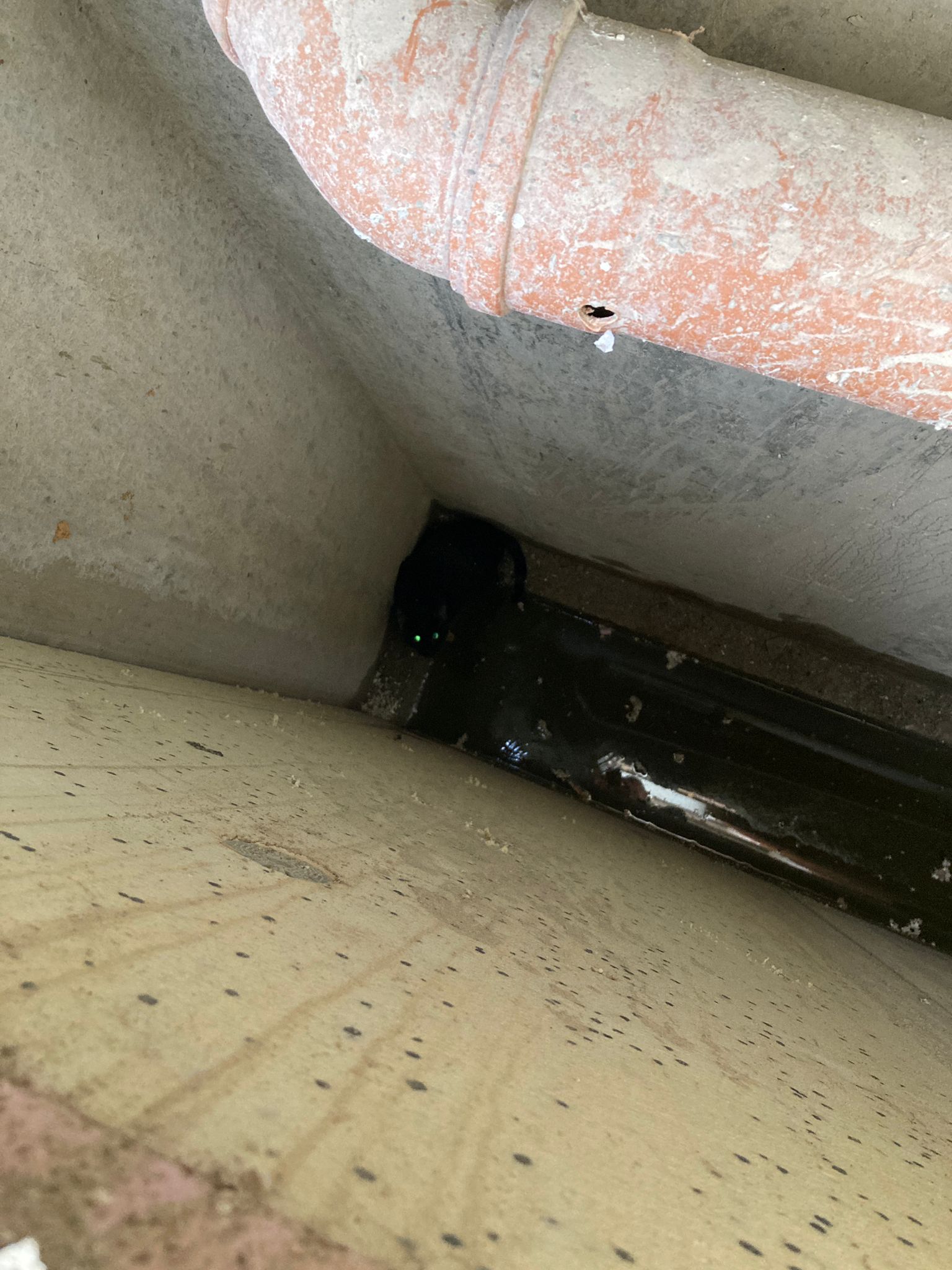 Technische Hilfeleistung Technische Hilfeleistung